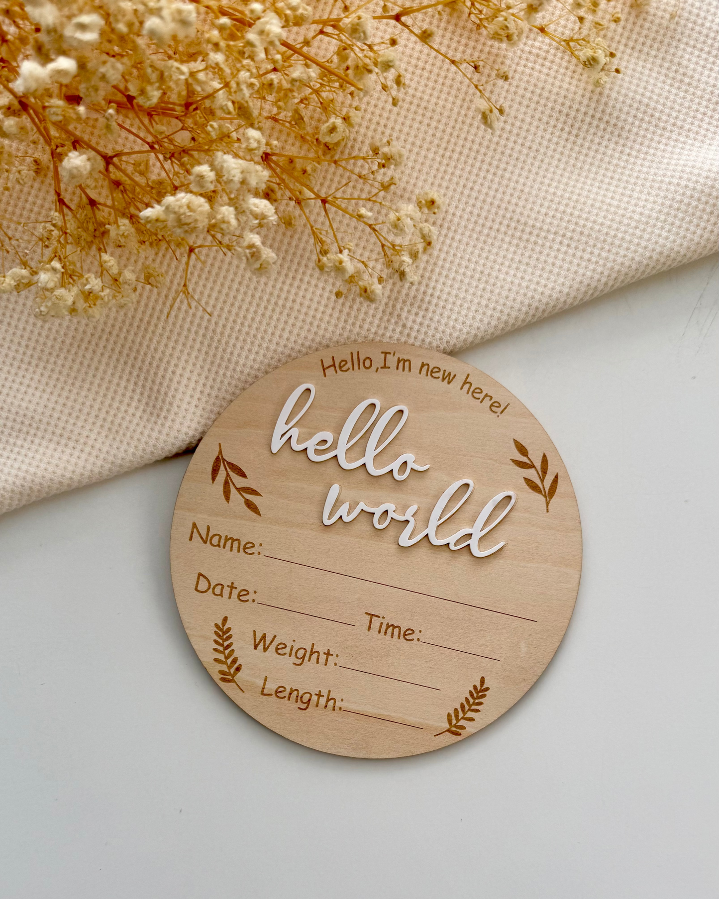 Hello World Disc