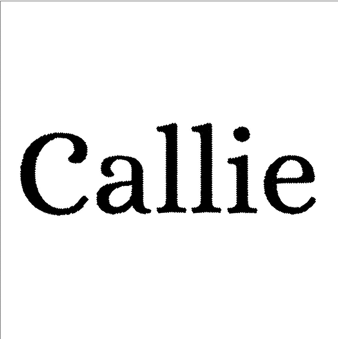 CHOOSE A FONT FOR NAME EMBROIDERY